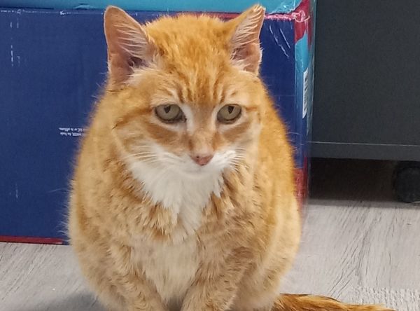 Beare Garden Plantation Animal Rescue Center