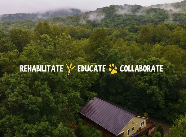 Rockfish Wildlife Sanctuary