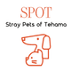 SPOT - Stray Pets of Tehama
