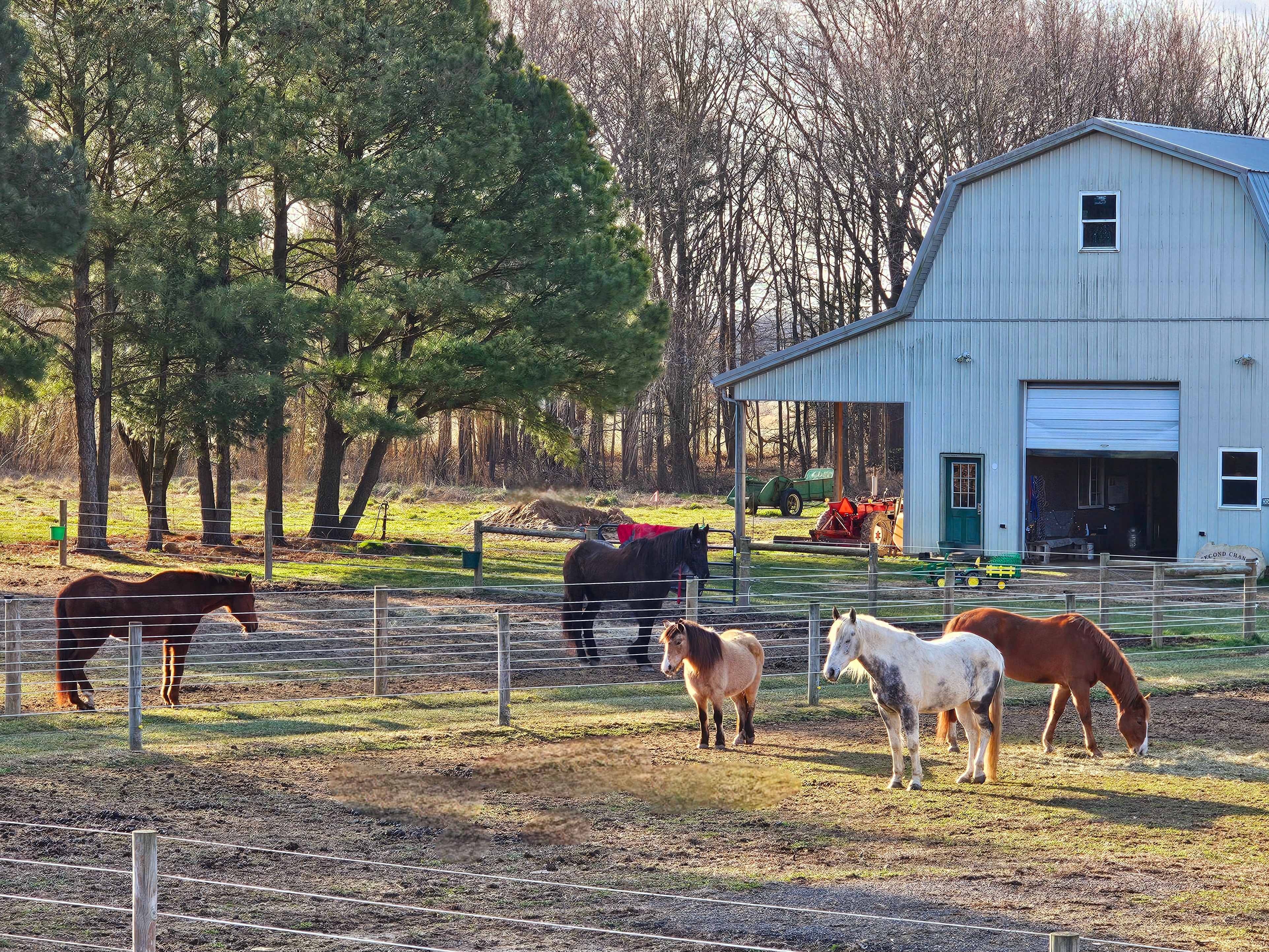 Second Chance Ranch of DE Inc