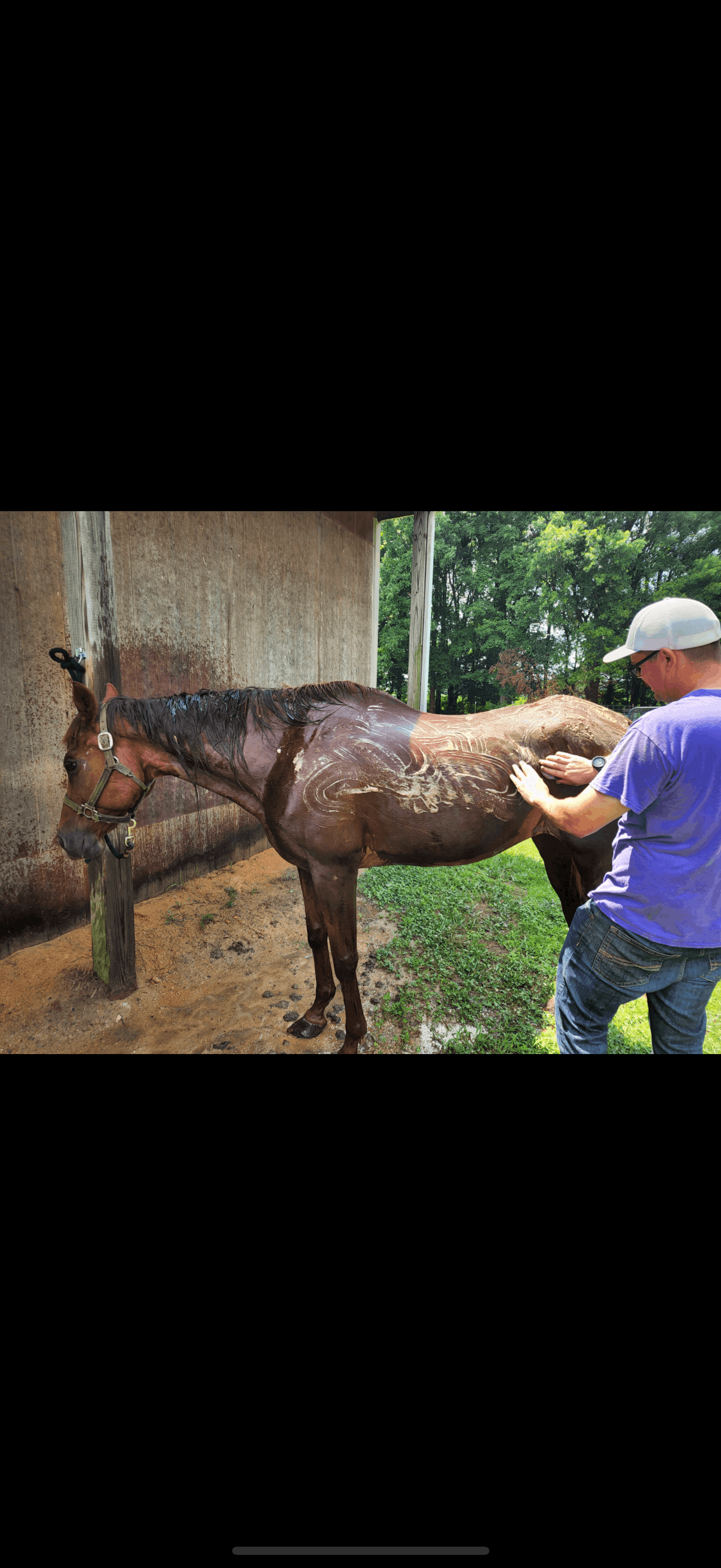 Second Chance Ranch of DE Inc