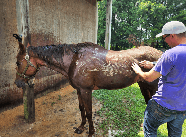 Second Chance Ranch of DE Inc