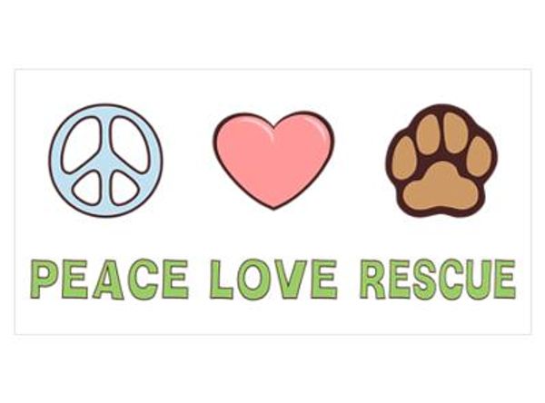 Sophia's Grace Foundation