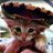 Cats Around Town Society, Inc.