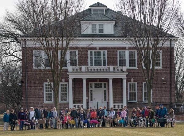 Greyhound Pet Adoptions of Delaware (GPAD)