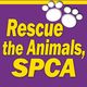 Rescue the Animals