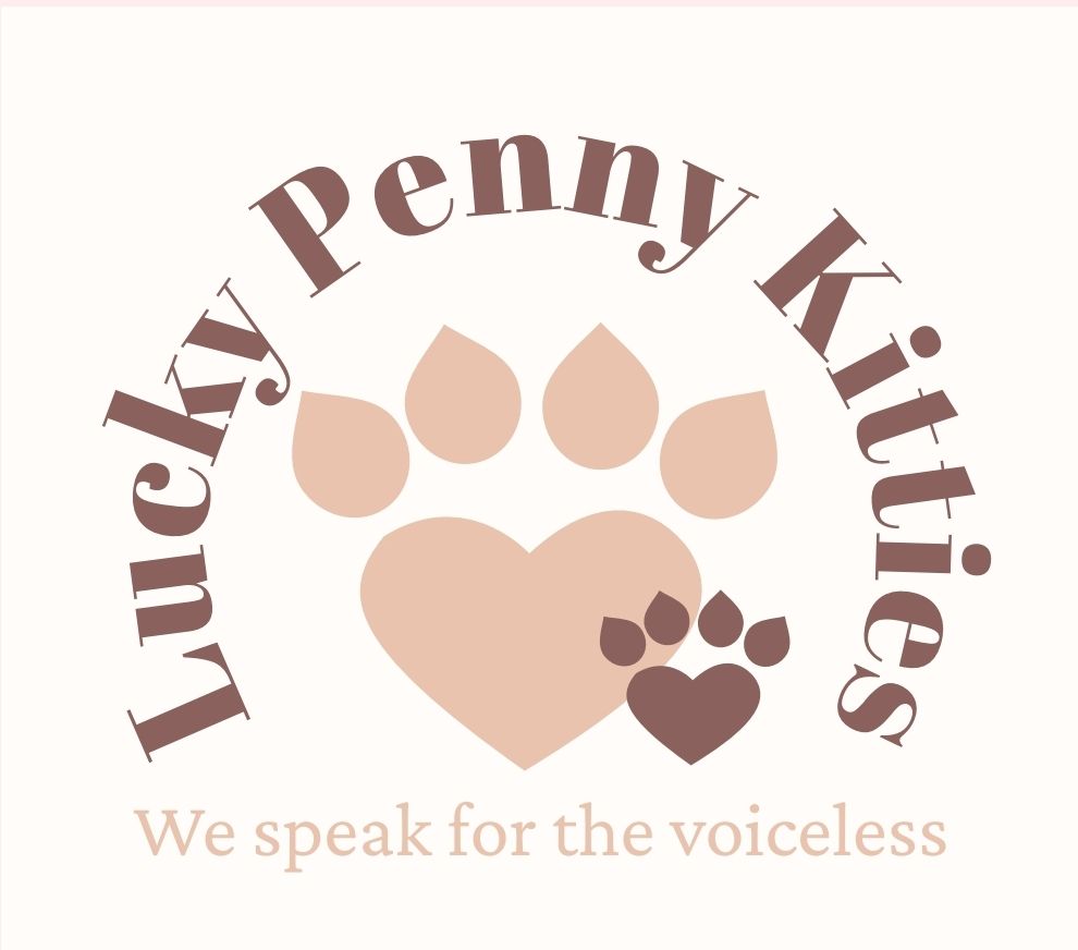 Lucky Penny Kitties