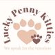 Lucky Penny Kitties