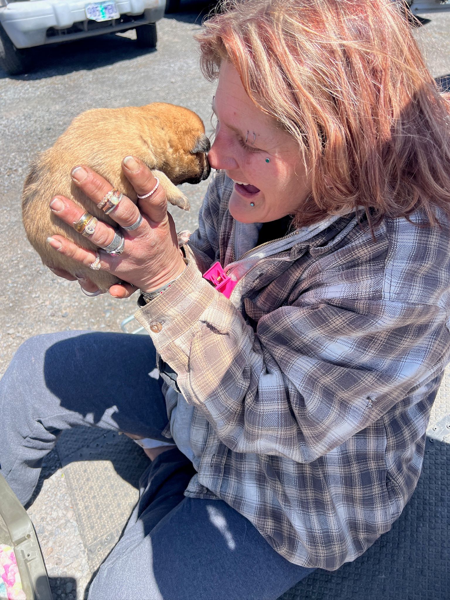 Companion Animal Medical Project