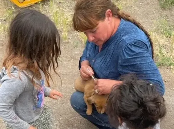 Rockn EZ Rescue Ranch