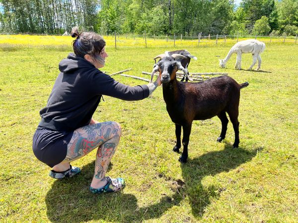 Harmony Farm Sanctuary and Wellness Corp