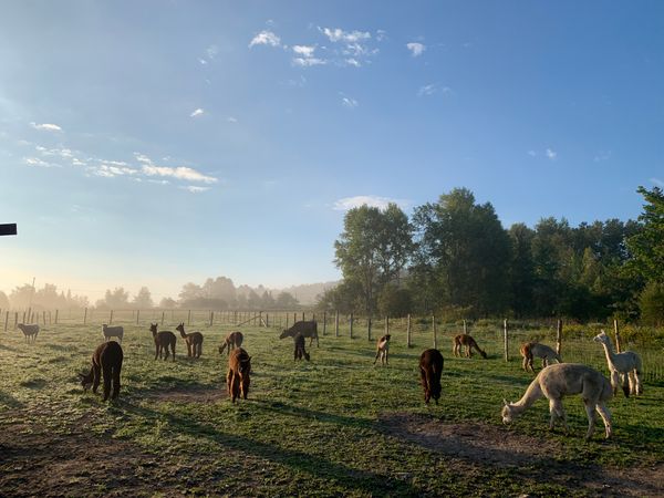 Harmony Farm Sanctuary and Wellness Corp
