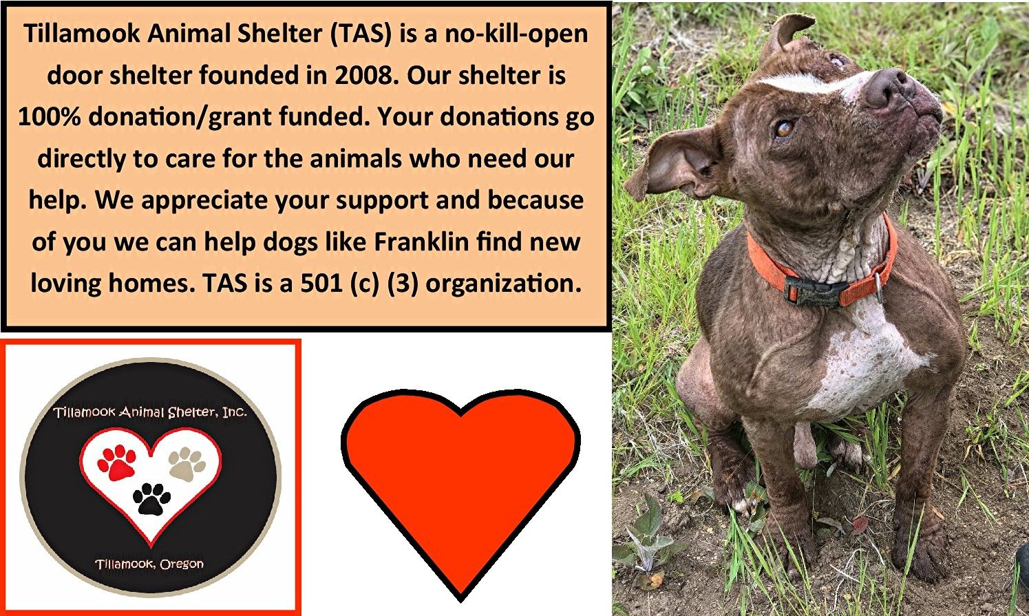 Tillamook Animal Shelter