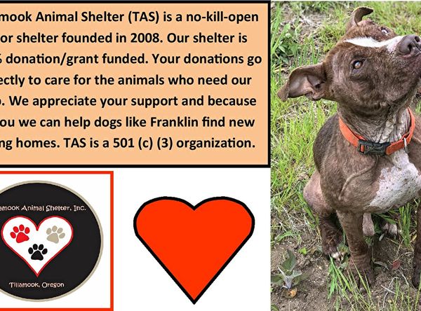 Tillamook Animal Shelter