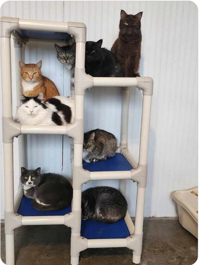 Tillamook Animal Shelter