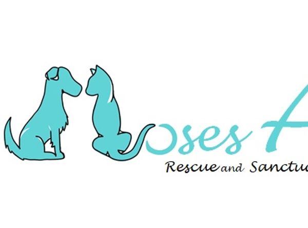 Moses Ark Rescue and Sanctuary