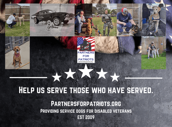 Partners For Patriots