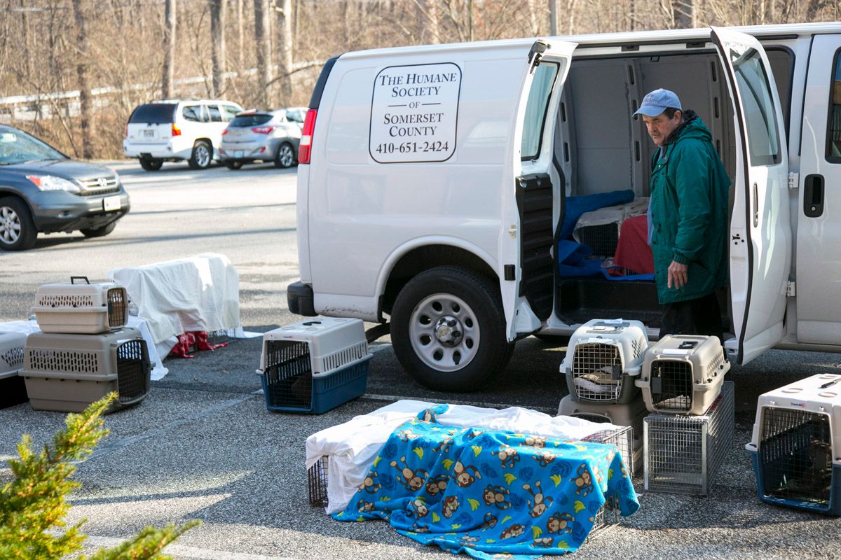 Humane Society of Sommerset County Inc