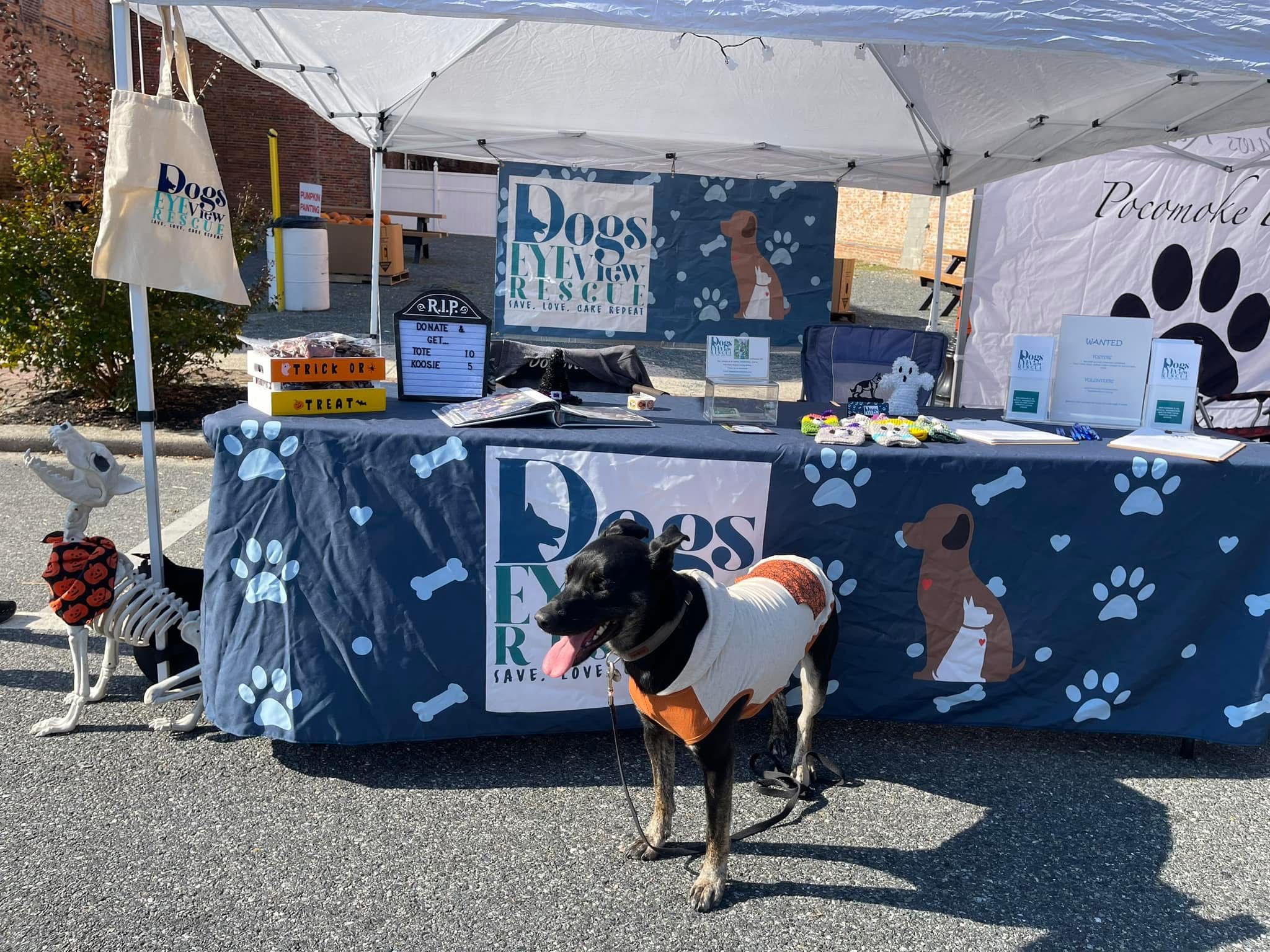 Dogs Eye View Rescue Inc
