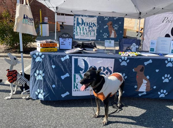 Dogs Eye View Rescue Inc