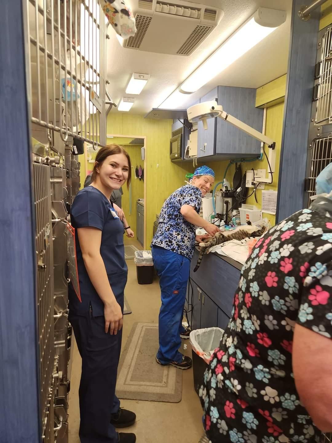 All About the Animals Coalition, Inc.