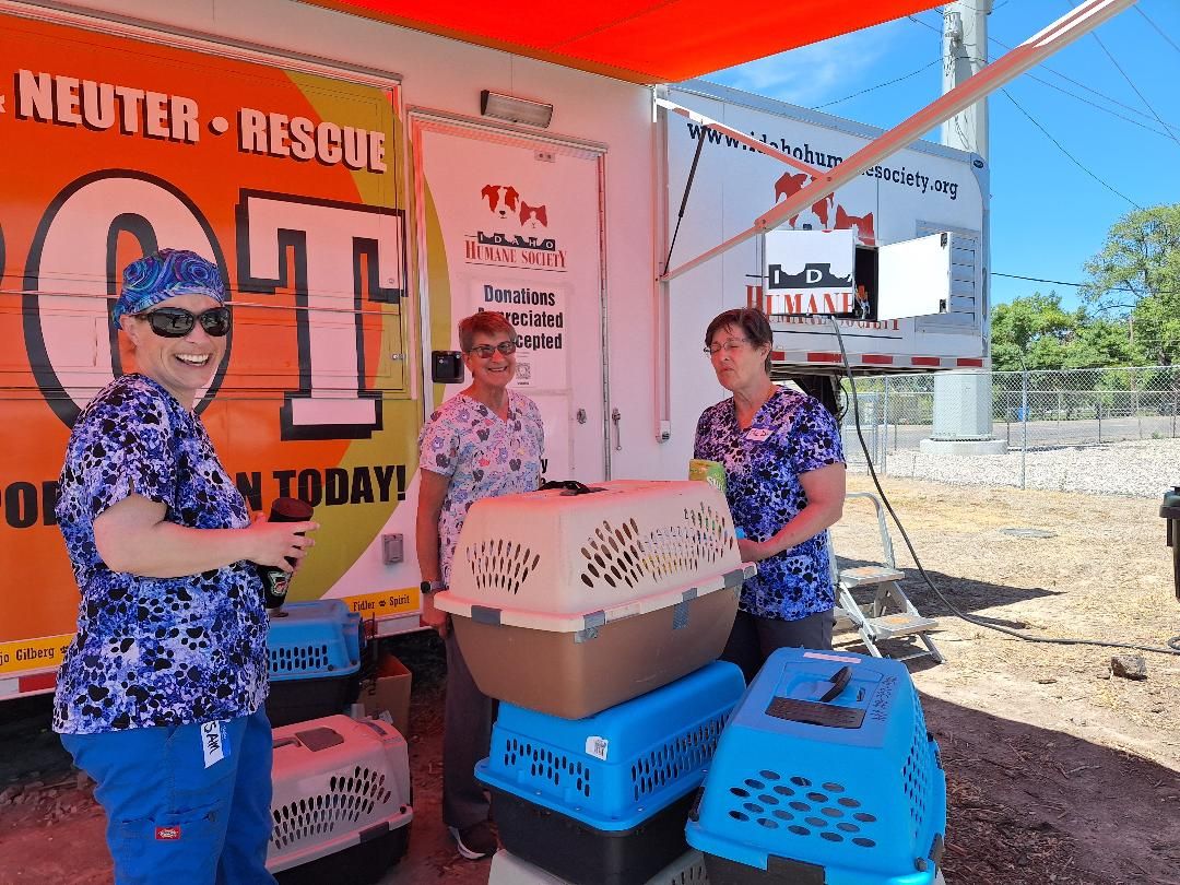 All About the Animals Coalition, Inc.