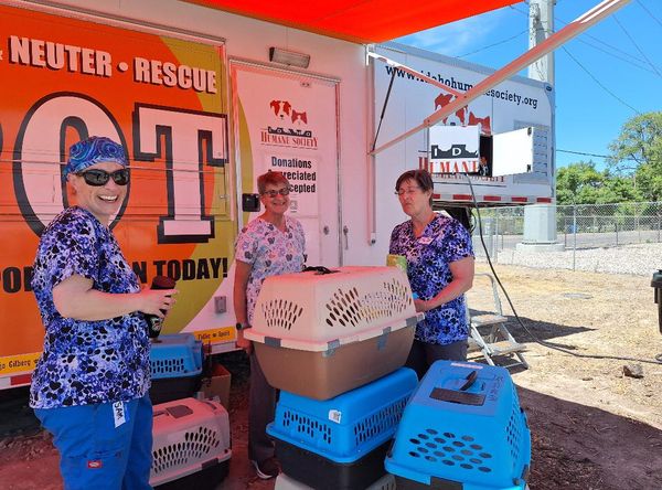 All About the Animals Coalition, Inc.