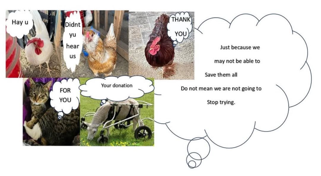 Grow with a Growl Farm and Animal Sanctuary Inc