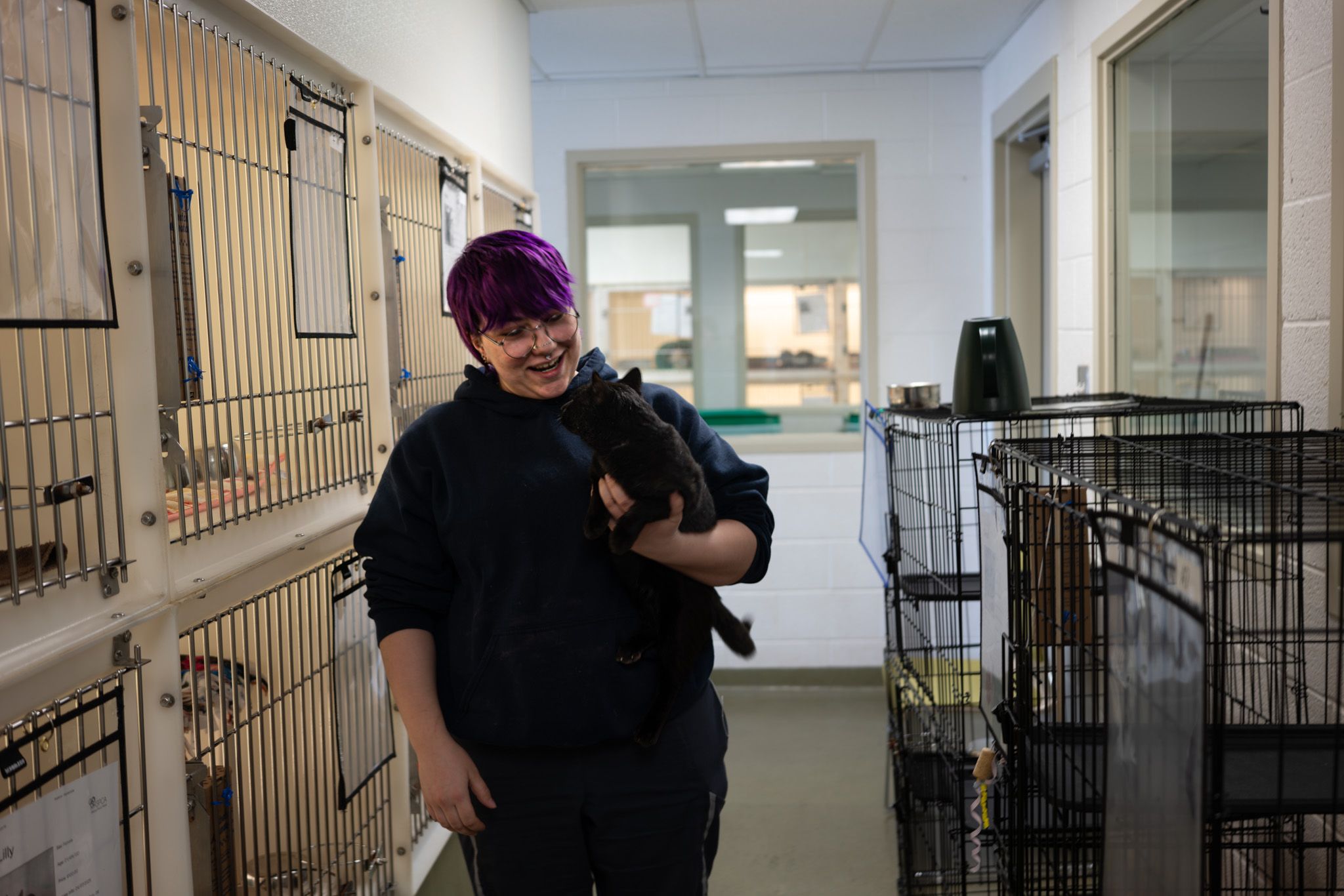 Rockingham Harrisonburg SPCA