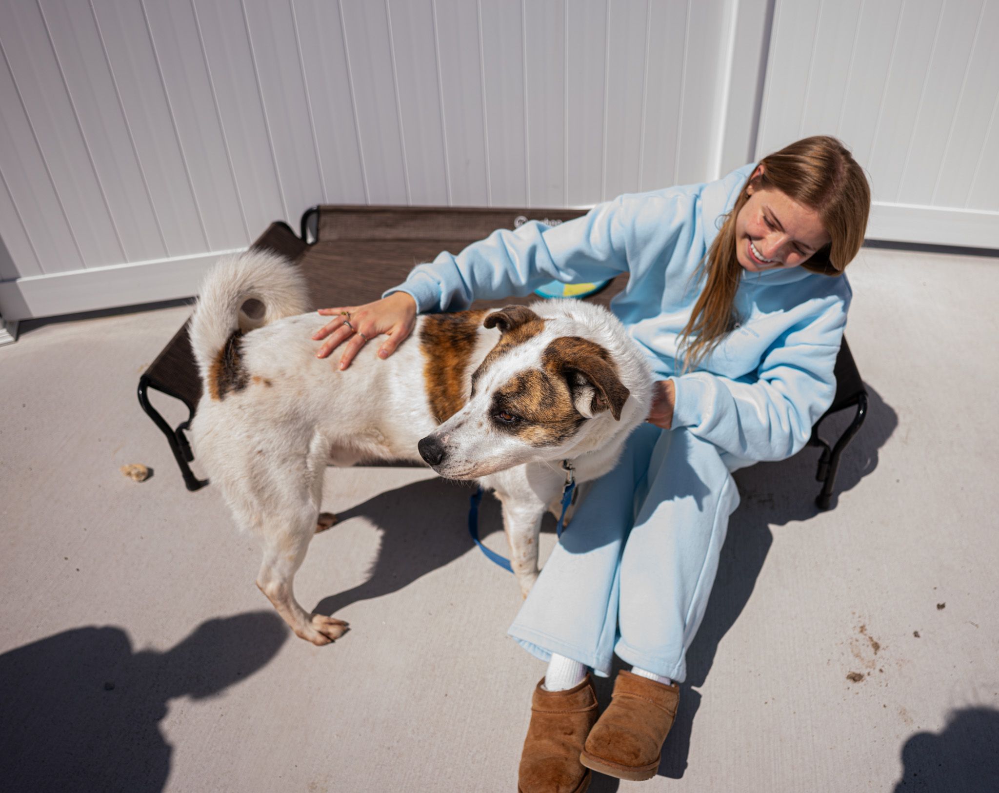 Rockingham Harrisonburg SPCA