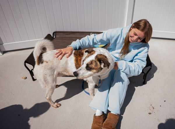 Rockingham Harrisonburg SPCA