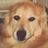 Hootie's Haven Animal Rescue Inc