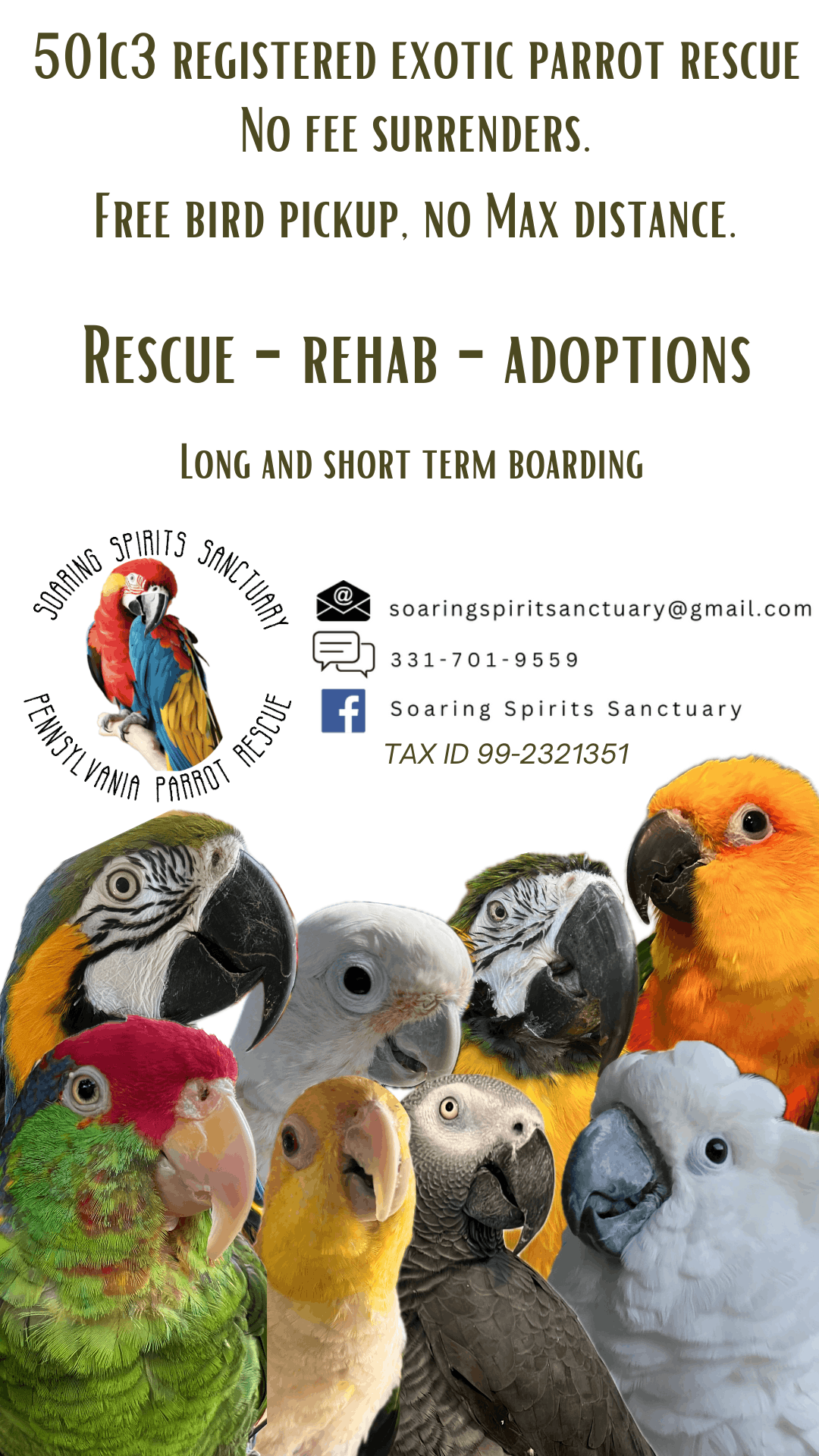 Soaring Spirits Sanctuary