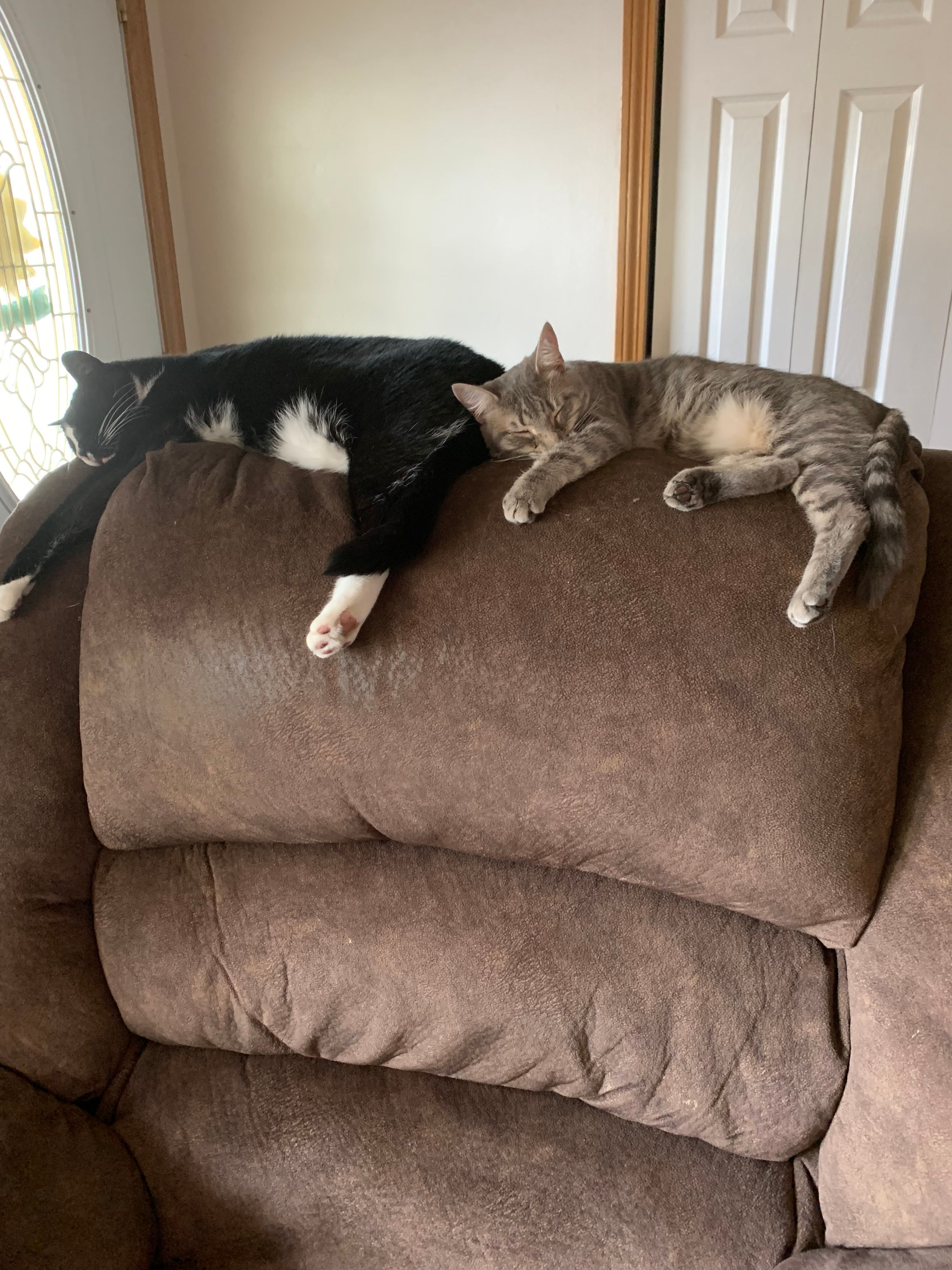 Orphans of The Storm Inc. Clearfield County