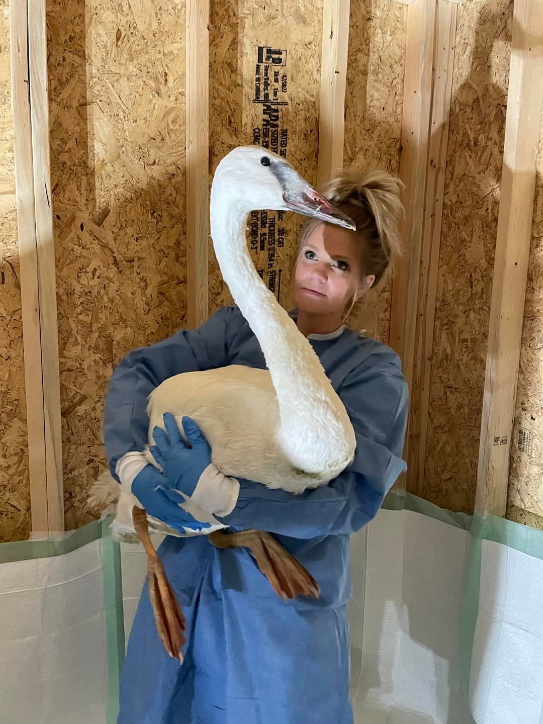 Aspyn Acres Wildlife Rehabilitation and Farm Sanctuary