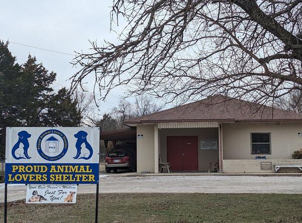 Proud Animal Lovers Shelter