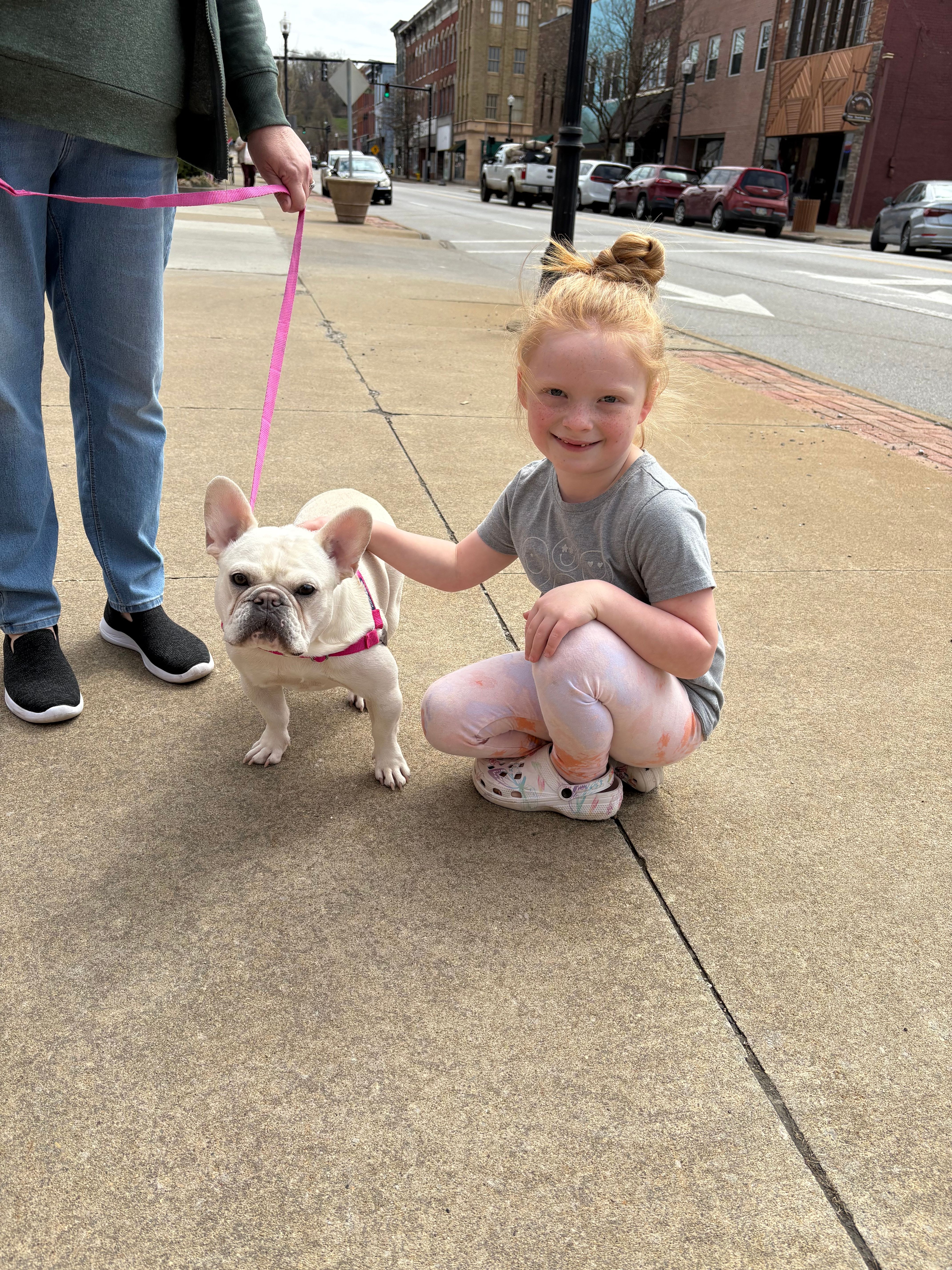 Fetch Remedy Dogs Inc.