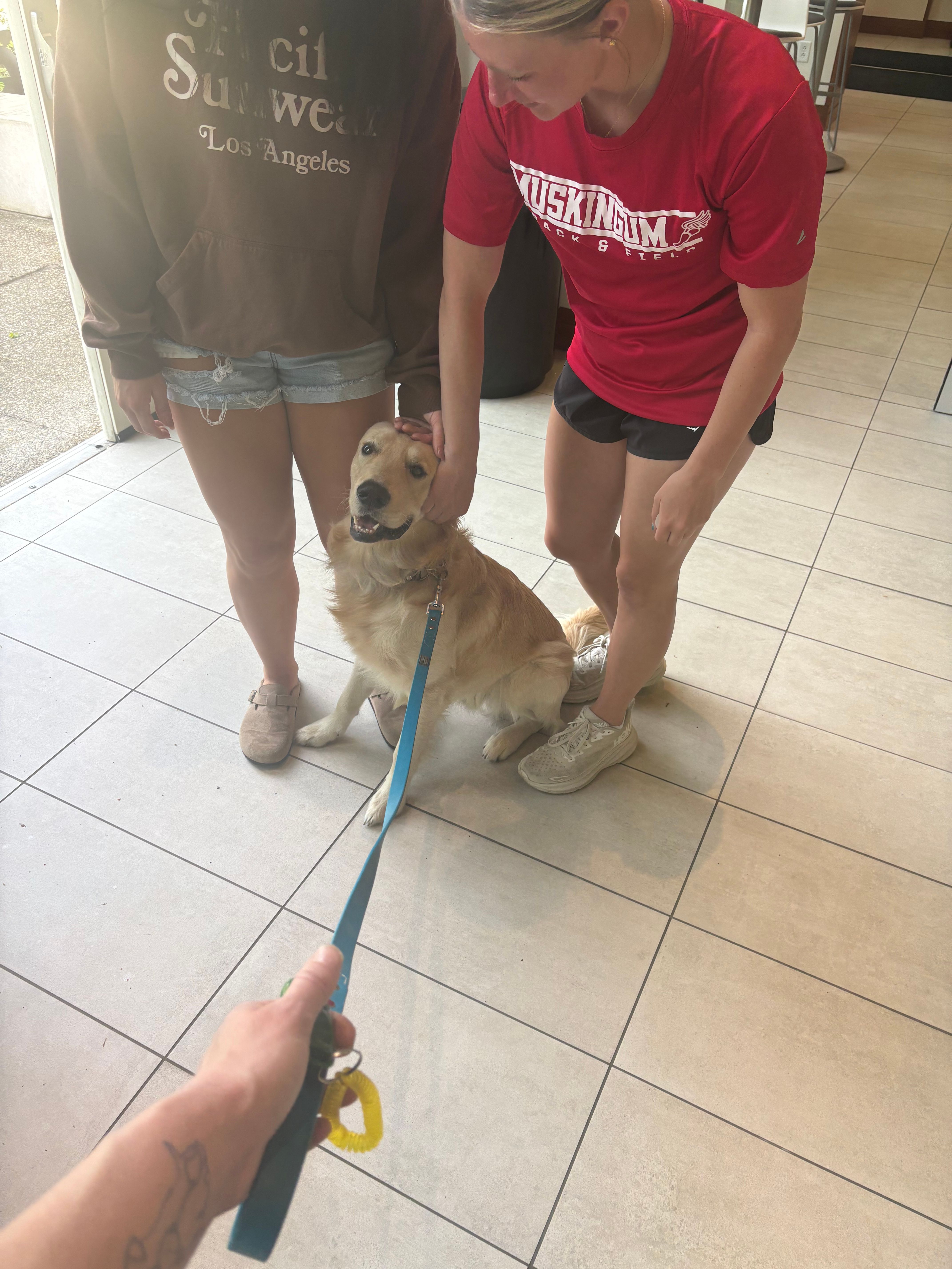 Fetch Remedy Dogs Inc.