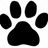 Saving Pets One at a Time, Inc (SPOT)
