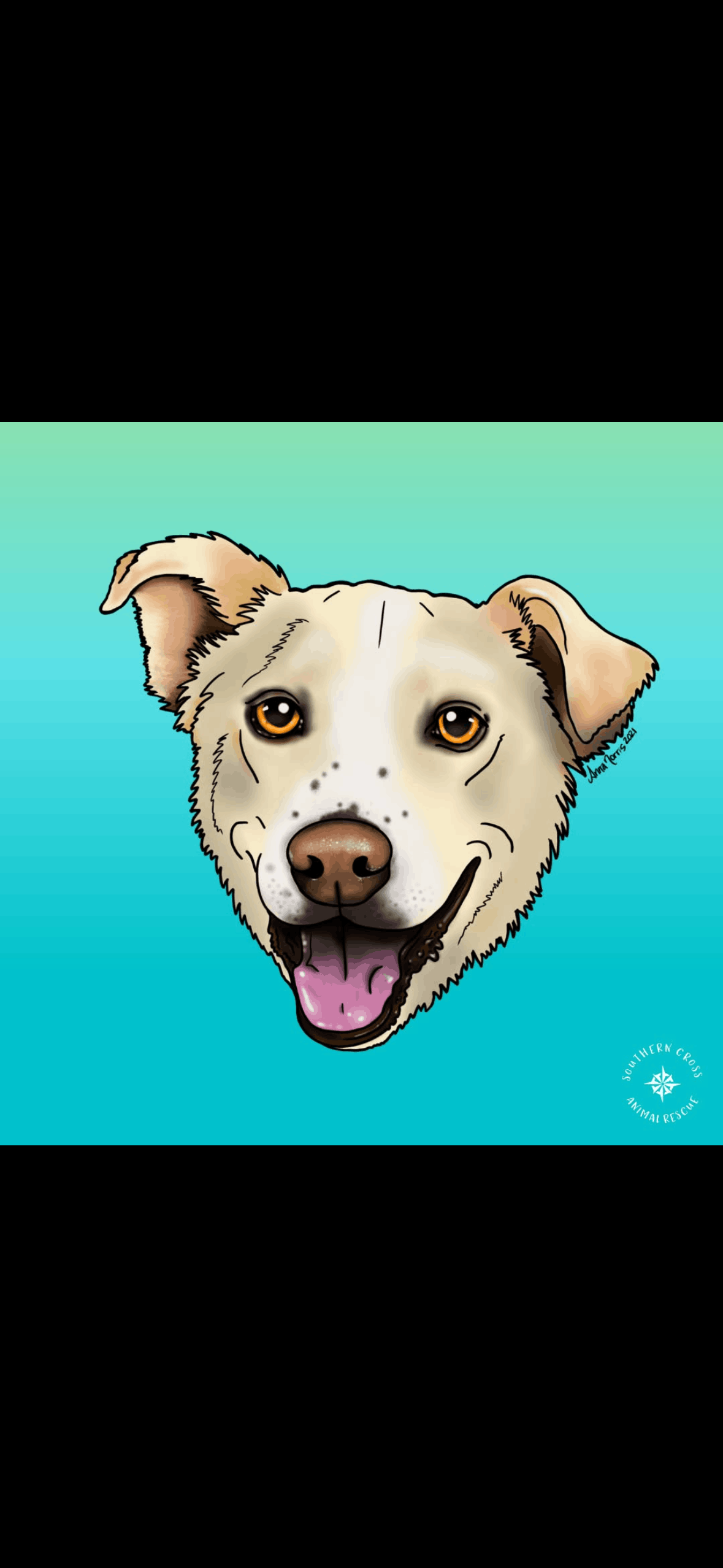 Southern Cross Animal Rescue
