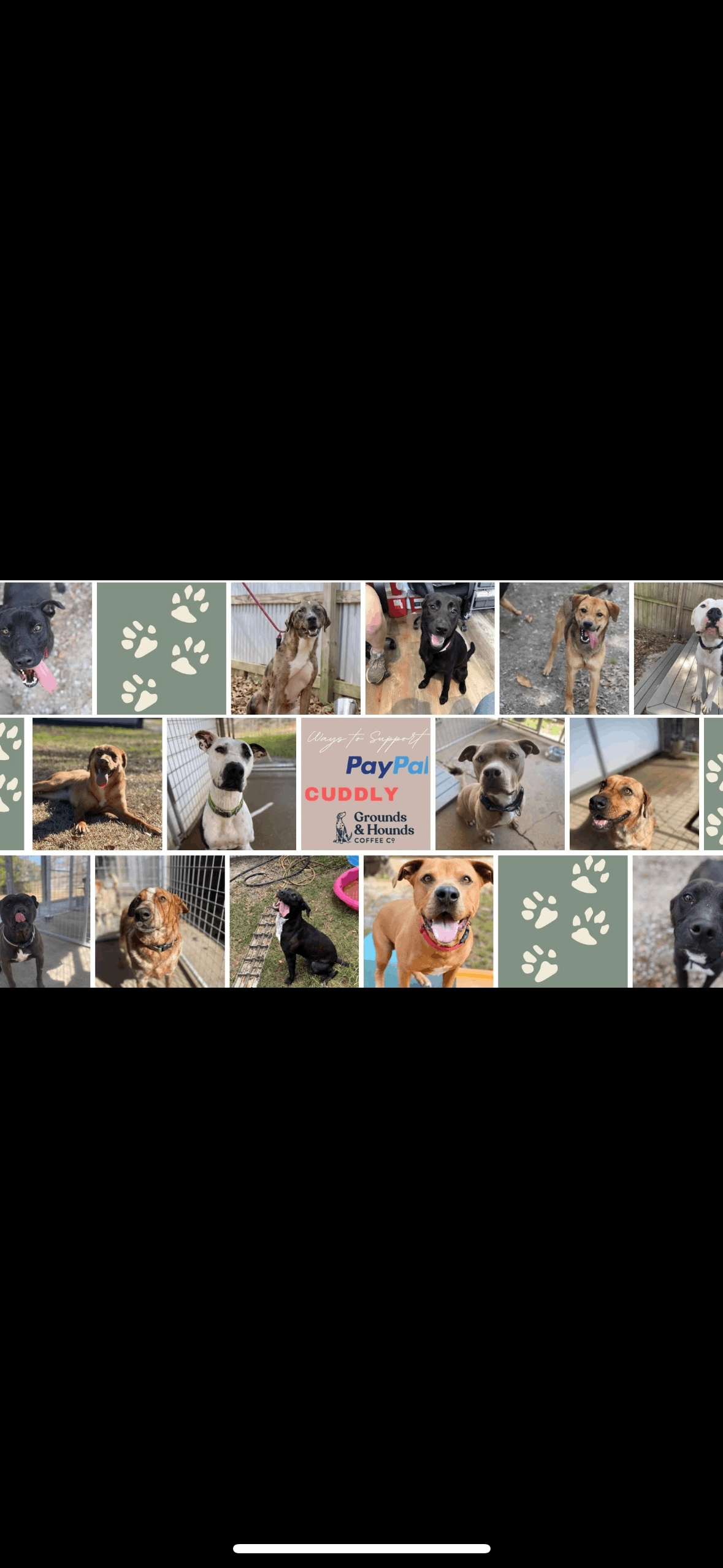 Southern Cross Animal Rescue