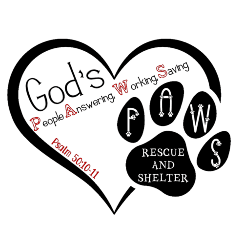 God’s PAWS Rescue and Shelter