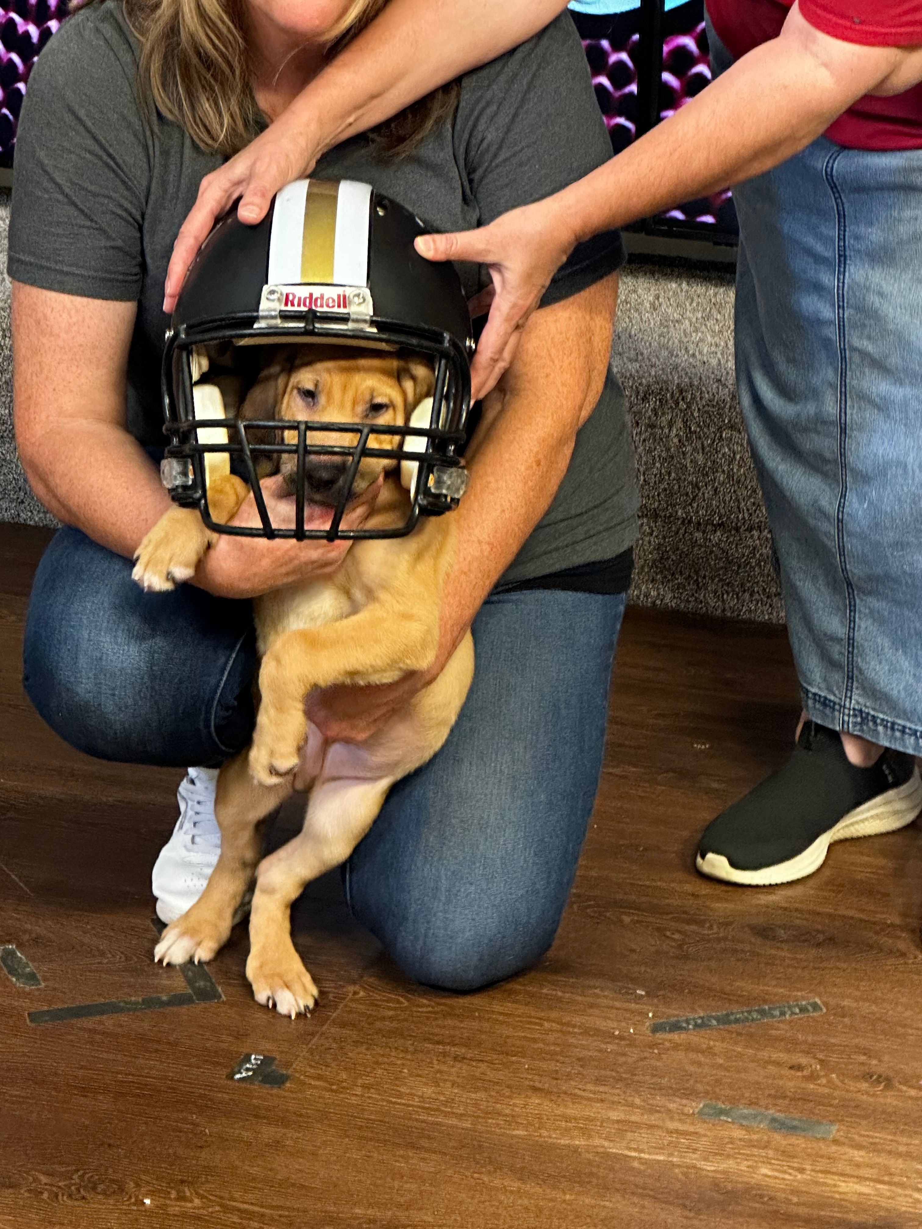 God’s PAWS Rescue and Shelter