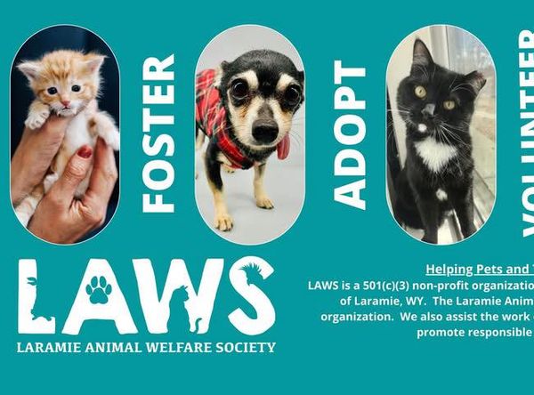 Laramie Animal Welfare Society