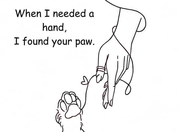 Crossed Paws Animal Shelter