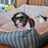 Shih Tzu Rescue of Central WI