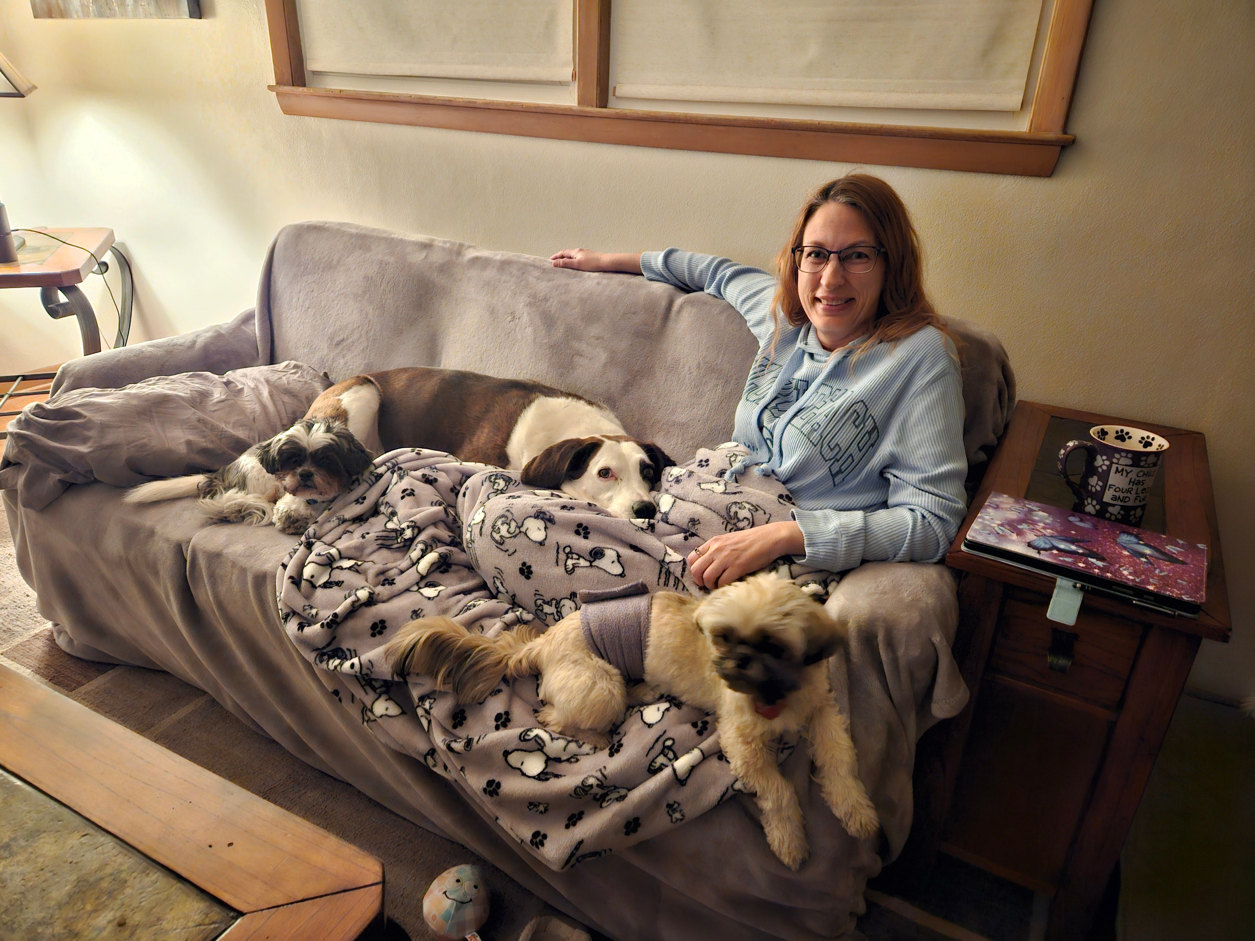 Shih Tzu Rescue of Central WI