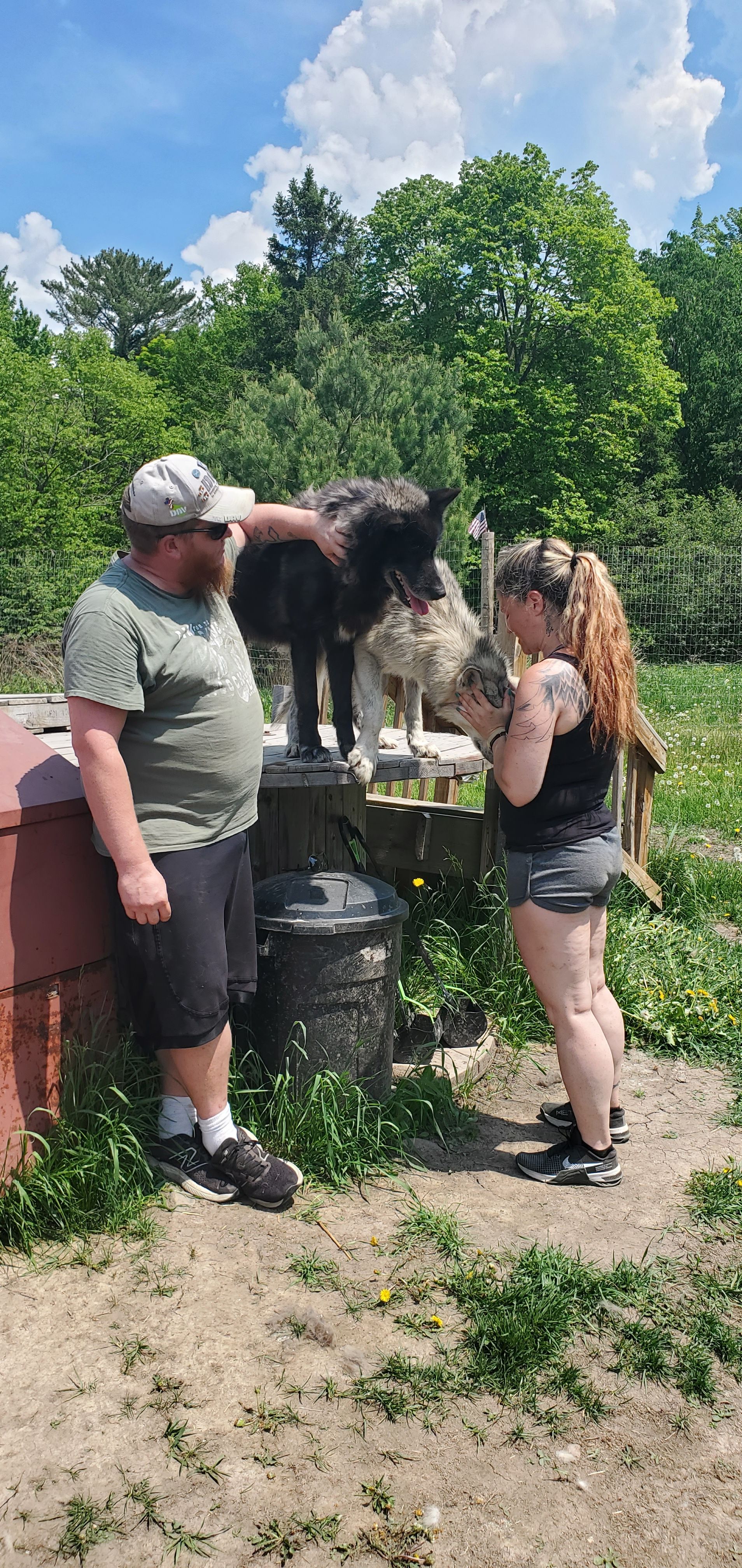 Apex Angels & Warriors