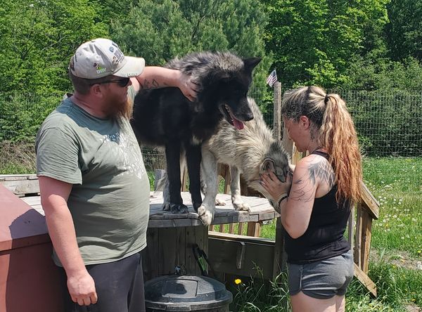 Apex Angels & Warriors