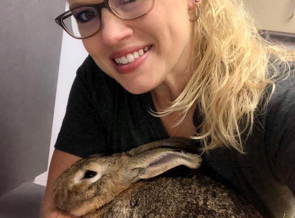 Oscar's Rabbit Rescue, Inc